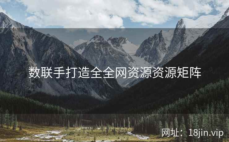 数联手打造全全网资源资源矩阵  第2张