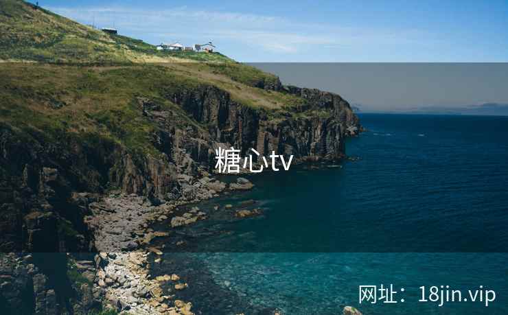 糖心tv 第2张