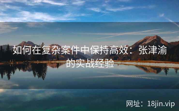 如何在复杂案件中保持高效：张津渝的实战经验  第2张