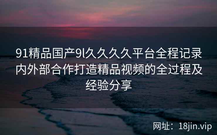 91精品国产9l久久久久平台全程记录内外部合作打造精品视频的全过程及经验分享  第2张