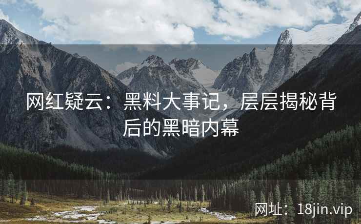 网红疑云：黑料大事记，层层揭秘背后的黑暗内幕  第2张